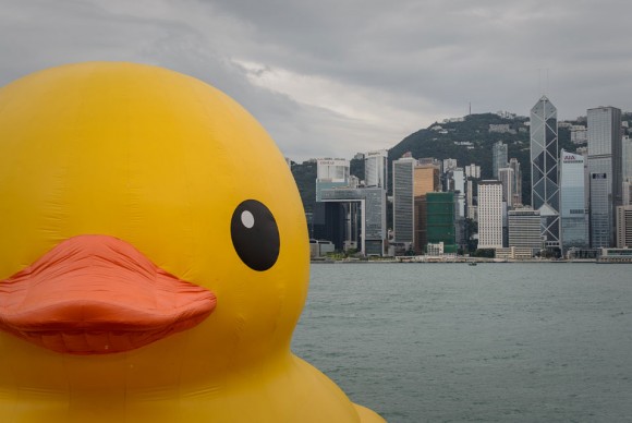 Fowl play? Taiwan city to upstage rival with a larger version of the giant inflatable yellow duck The 16.5 metre tall inflatable Rubber Duck art installation is seen at the Victoria Harbour in Hong Kong 580x388 Fowl play? Taiwan city to upstage rival with a larger version of the giant inflatable yellow duck