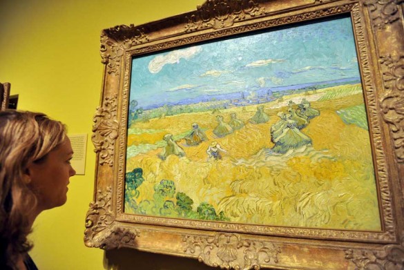A woman views a painting by the Dutch artist Vincent Van Gogh entitled Wheat Fields with Reaper  585x391 Royal Academy of Arts Stages a Landmark Exhibition of the Work of Vincent van Gogh
