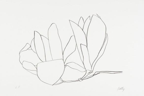 Ellsworth Kelly American b. 1923 Magnolia 585x391 Norton Simon Announces Exhibition of Lithographs by Ellsworth Kelly