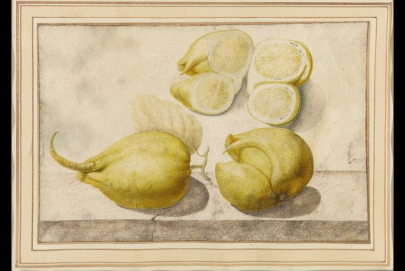 The top lot of the auction was the watercolor Lemon 580x388 Property from the Collection of Charles Ryskamp Exceeds High Estimate to Bring $1.6 Million