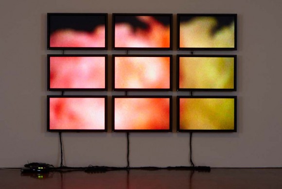 Diana Thater Peonies 2011. 9 video monitors 580x388 Diana Thaters Peonies, a nine monitor videowall, on view at the Wexner Center