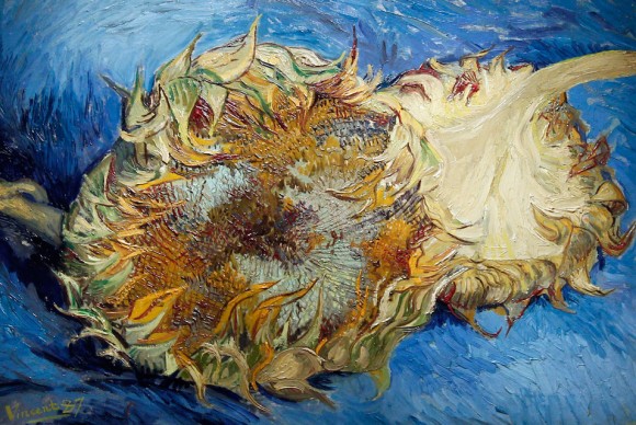 Vincent Van Goghs painting Sunflowers 580x388 Philadelphia Museum of Art exhibition explores van Goghs deep immersion into nature